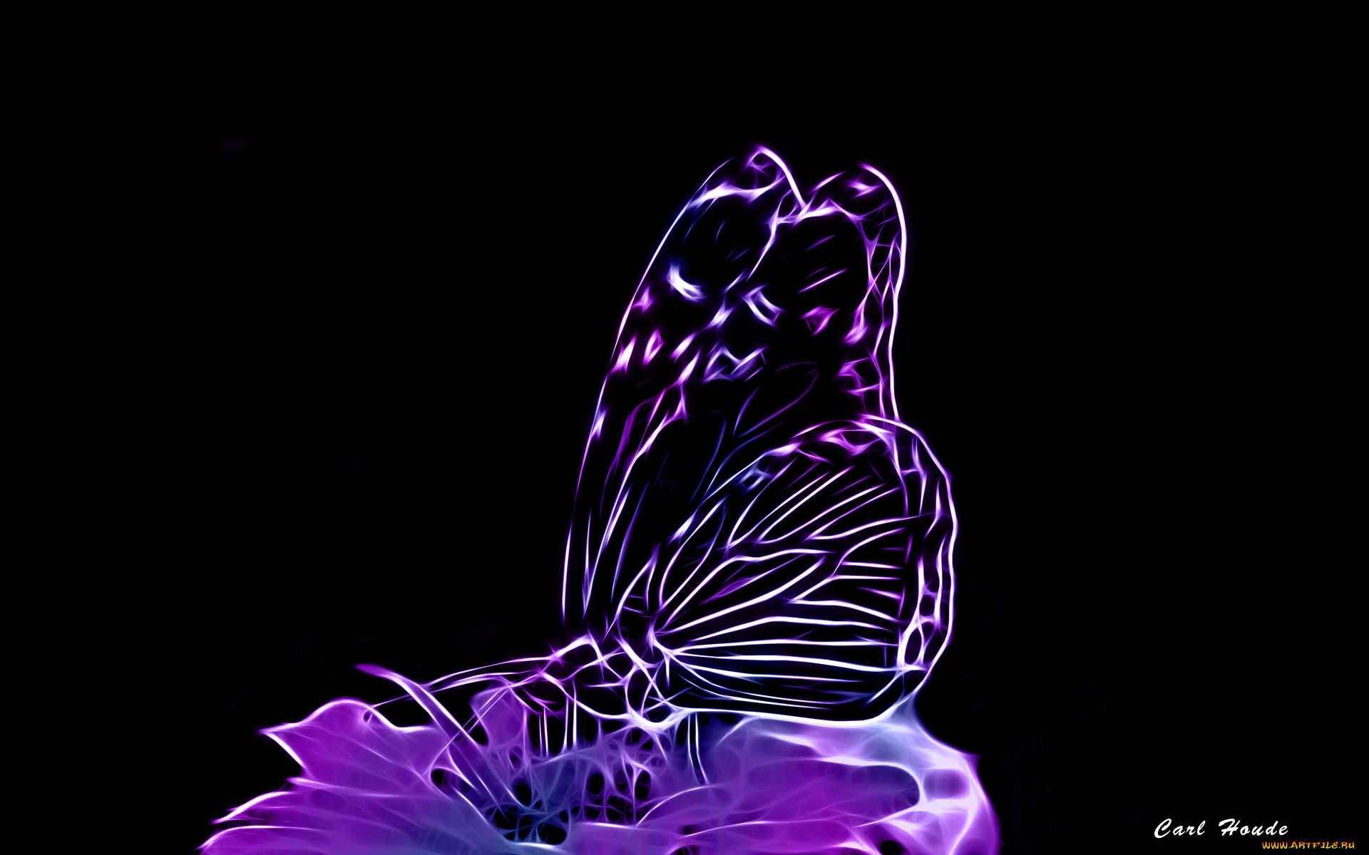 3, , animals, , , , , 